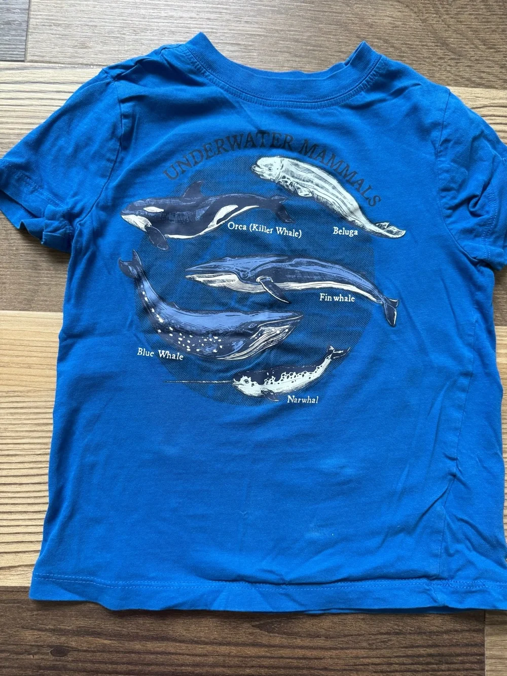 Boys XS Short Sleeve Graphic Tee Bundle
